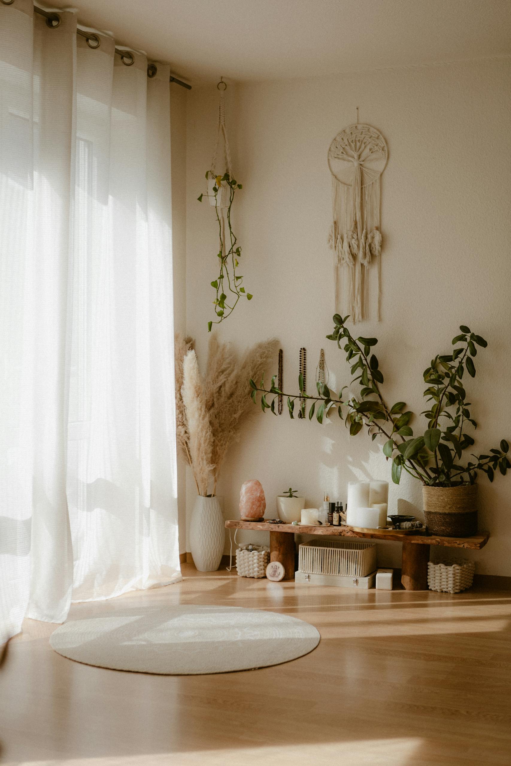 Sunlit minimalist bohemian living room with plants and dreamcatcher.